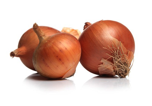 Cebolla